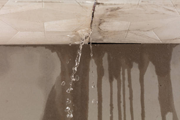 Professional Burst Pipe Cleanup technician working in Morley, MI